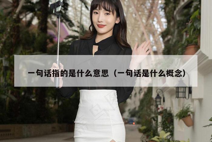一句话指的是什么意思（一句话是什么概念）